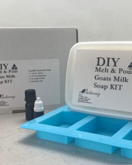 Melt and Pour Soap Kit