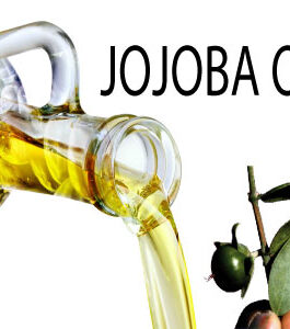 Jojoba Oil (Simmondsia Chinensis)