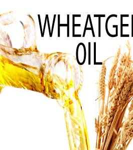 Wheatgerm Oil (Triticum vulgare)