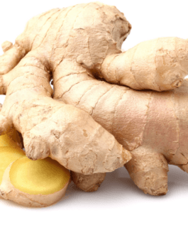 Ginger Root Extract WS