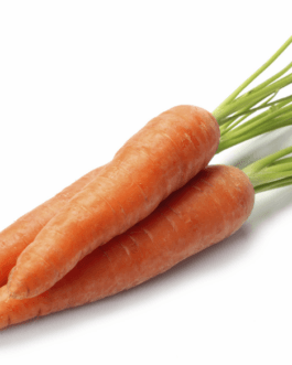 Carrot