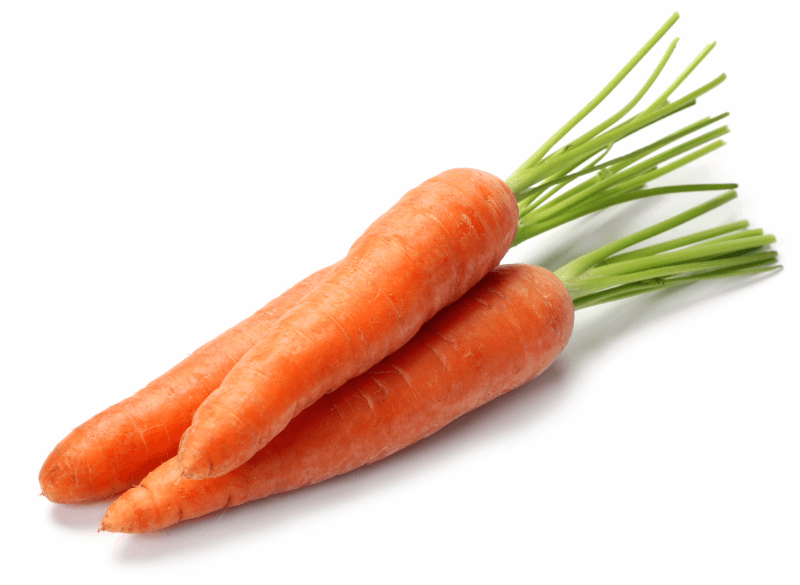 carrot