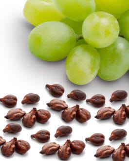 Grapeseed hydroglyceric extract