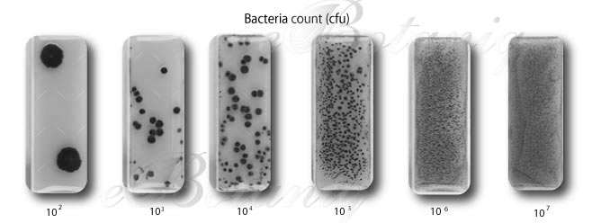 MircoTest-Kit-Bacteria count