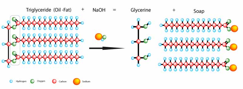 saponification