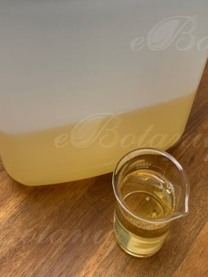 Liquid Castile Soap Base